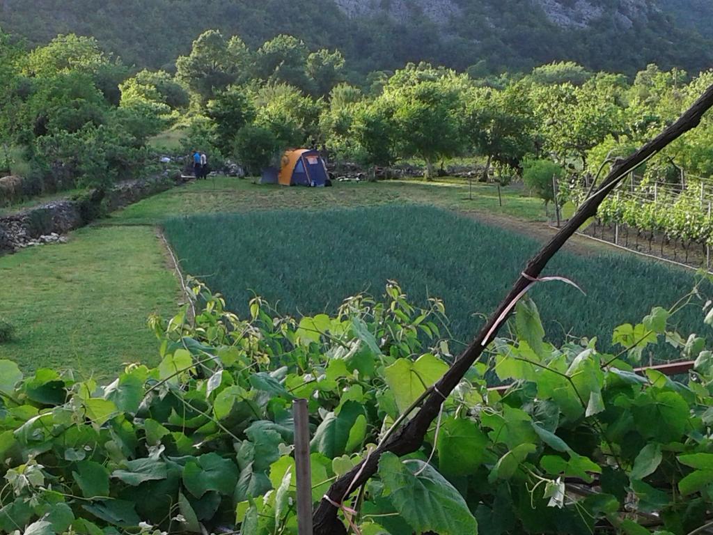 Guesthouse Feel Lake Virpazar Luaran gambar
